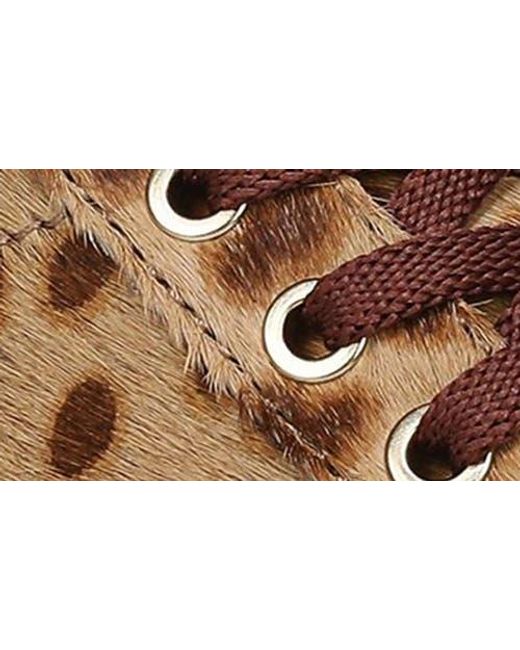 Naturalizer Brown Morrison Sneaker