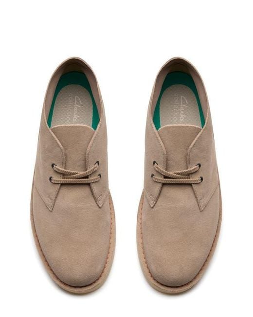 Clarks Brown Shepton Chukka Boot for men