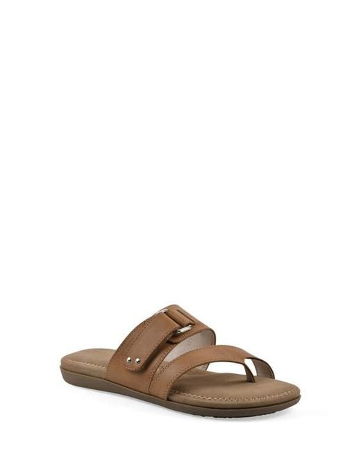 White Mountain Brown Fancify Toe Loop Sandal