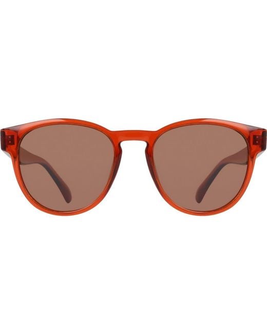 Dragon Brown 53Mm Round Sunglasses