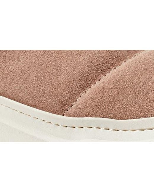 Hunter Natural Askern Waterproof Suede Platform Bootie