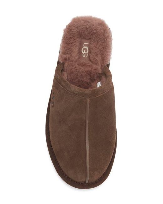 Ugg Brown Pearle Uggplush Scuff Slipper