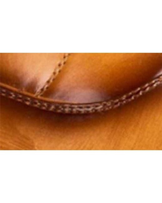 Gino Vitale Brown Cap Toe Oxford for men