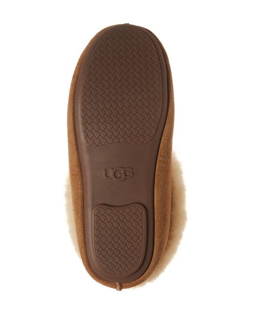 ugg roo slipper