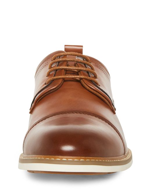 Steve Madden Pesto Cap Toe Derby in Brown for Men Lyst