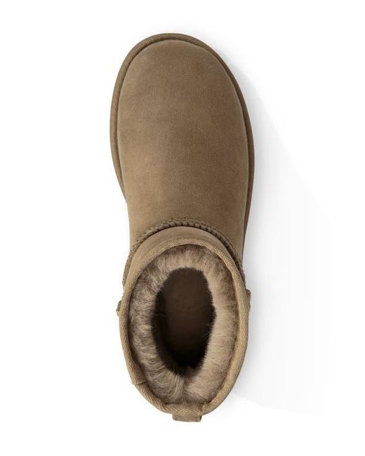 Ugg Brown Ugg Classic Mini Ii Genuine Shearling Lined Boot