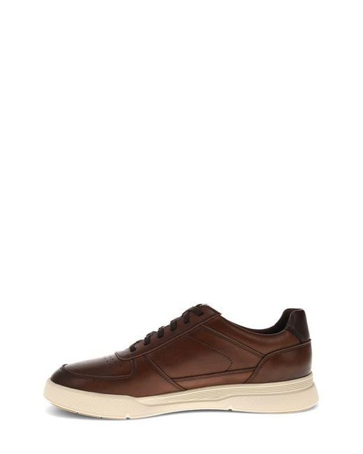 Dockers Brown Brad Sneaker for men