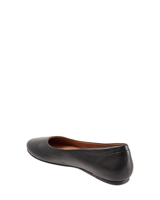 Softwalk® Brown Shiraz Flat