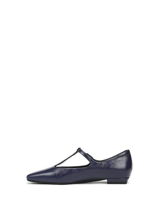 27 EDIT Naturalizer Blue Bella T-Strap Flat
