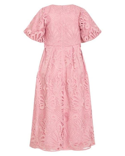 City Chic Women's Pink Kylee Lace Maxi Dress - www.magambanetwork.com City Chic Women's Pink Kylee Lace Maxi Dress - www.magambanetwork.com