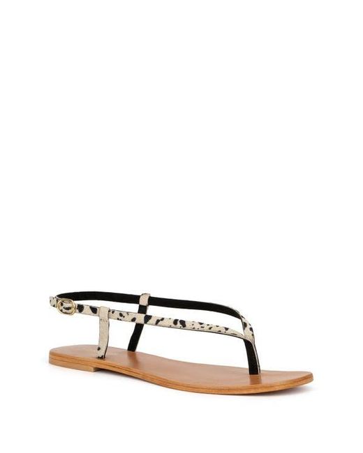 TORGEIS Black Diana Animal Print Thin Strap Sandal