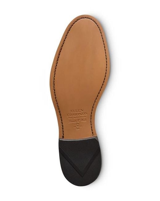 Allen Edmonds Brown Winston Wingtip Derby for men