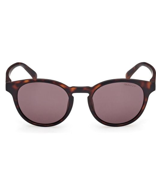 Gant Brown Oval Sunglasses for men