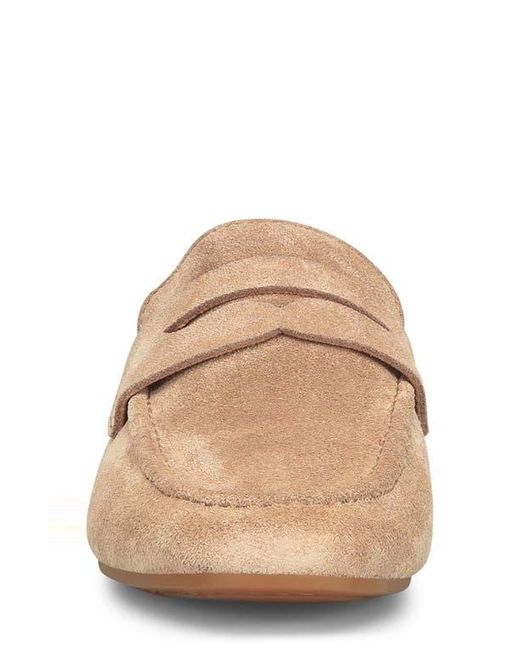 Børn Brown Ashlin Mule