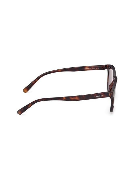 Gant Brown Oval Sunglasses for men