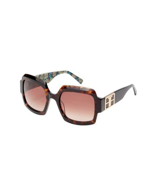 Ted Baker Brown 55Mm Square Sunglasses