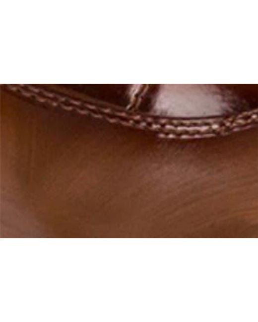 Gino Vitale Brown Cap Toe Oxford for men
