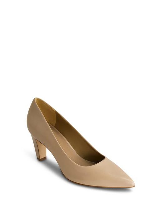 Bernardo Brown Giselle Pump
