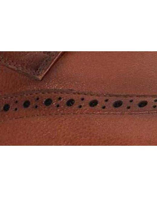 Dune Brown Stanford Wingtip Derby for men