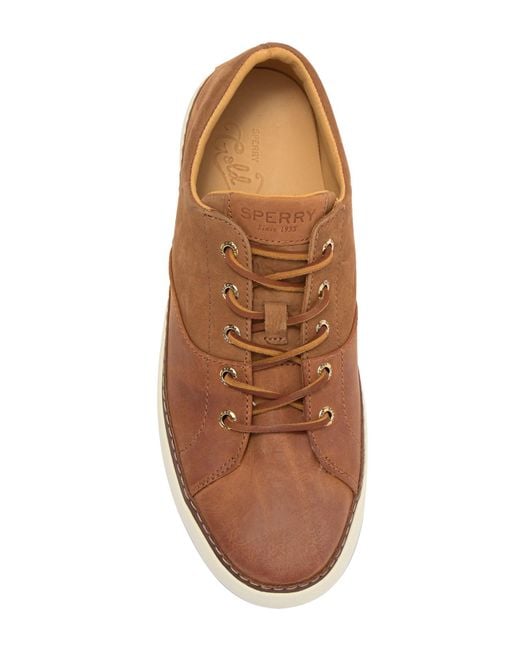 sperry gold cup haven sneaker