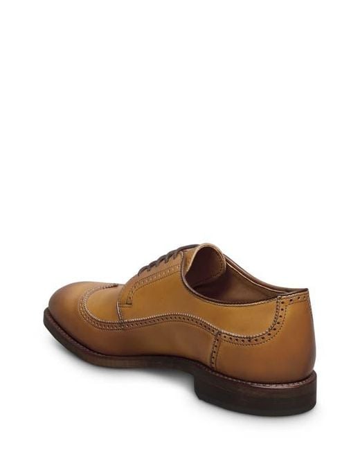 Allen Edmonds Brown Winston Wingtip Derby for men