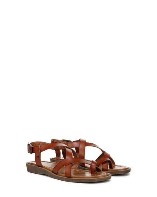 Blowfish Brown Devon Sandal