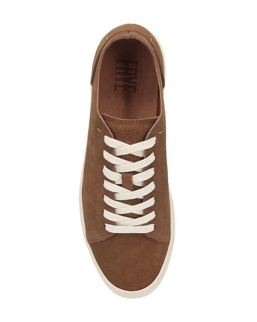 Frye Brown Astor Sneaker for men