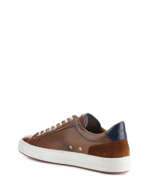 Ambitious Brown 11218 Low Top Sneaker for men