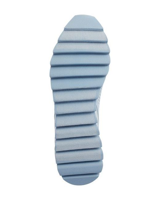 DKNY Blue Abbi Sneaker