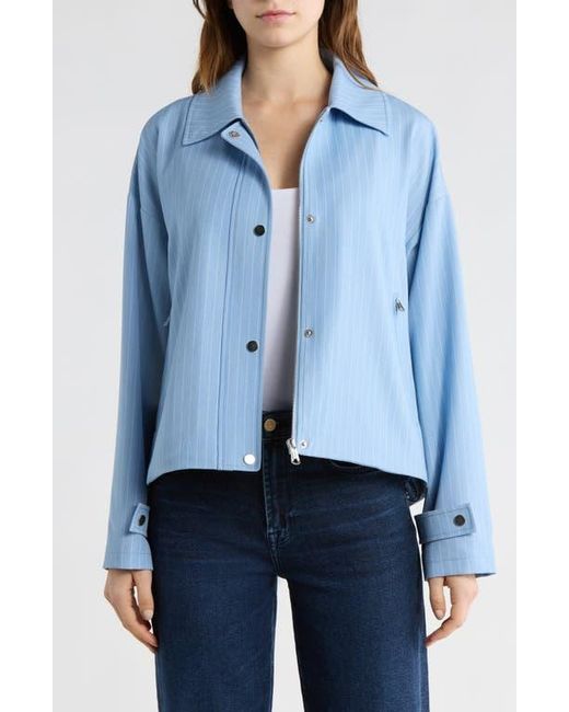 Bernardo Blue Stripe Jacket