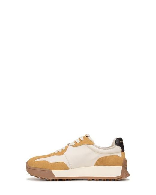 Sam Edelman Multicolor Langley Sneaker