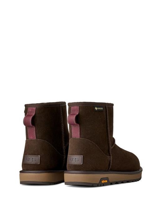 Ugg Brown Mini Gore-Tex Waterproof Boot for men