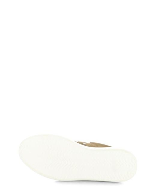 Ambitious Brown 13797 Low Top Sneaker for men