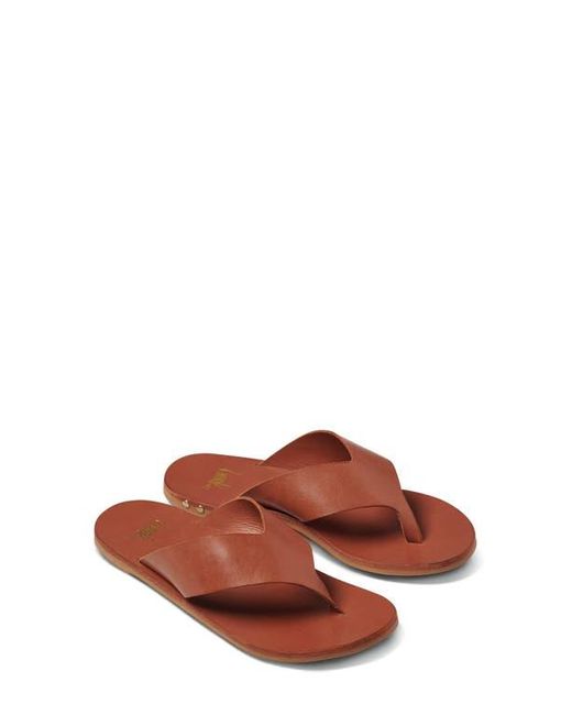 Beek Brown Pip Flip Flop