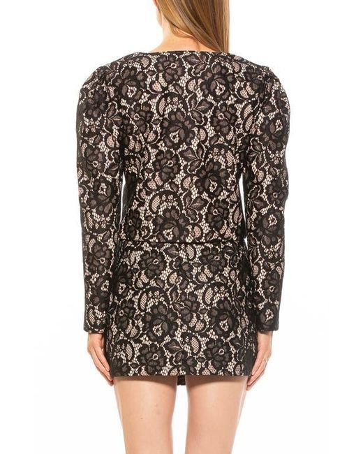 Alexia Admor Black Rowan Lace Jacket