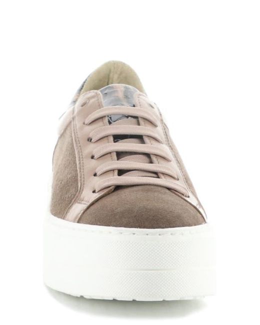 Bos. & Co. Multicolor Maude Platform Sneaker