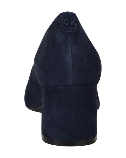 Calvin Klein Blue Lenott Pointed Toe Pump