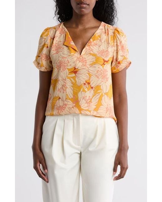 DR2 by Daniel Rainn Orange Daniel Rainn Pinch Sleeve Blouse