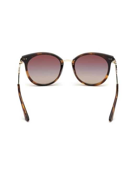 Guess Brown Round Sunglasses for men