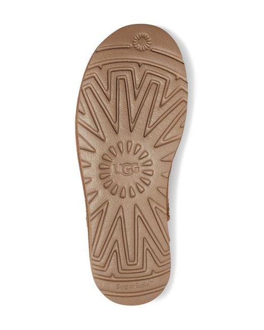 Ugg Brown Classic Mini Bailey Zip Boot