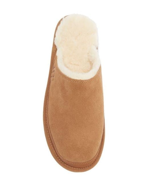 Ugg Brown Leisure Nomad Slide Slipper for men