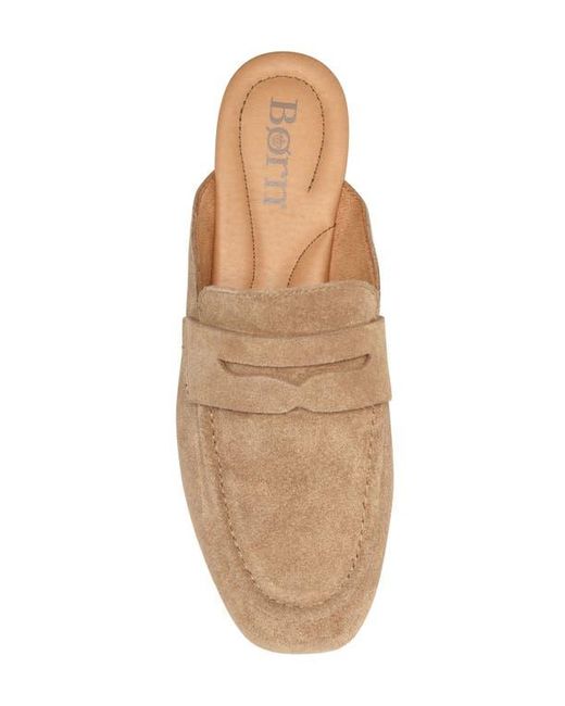 Børn Brown Ashlin Mule