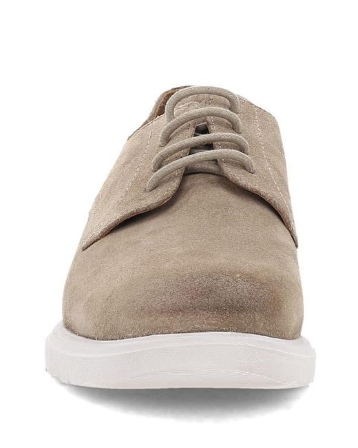 Frye Brown Connor Derby for men