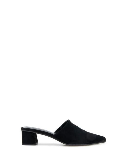 Splendid Black Laylai Pointed Toe Mule