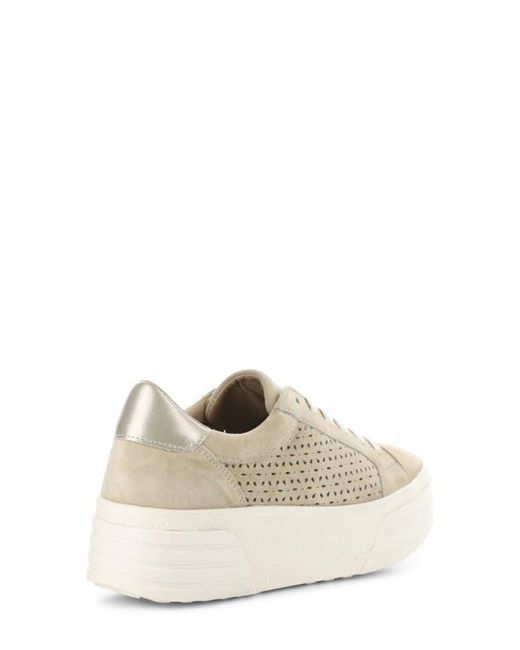 Bos. & Co. White Lotta Platform Sneaker