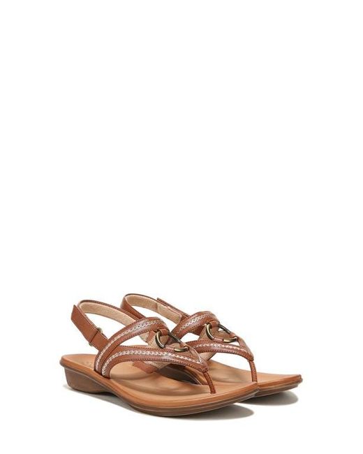 Naturalizer thong sandals deals