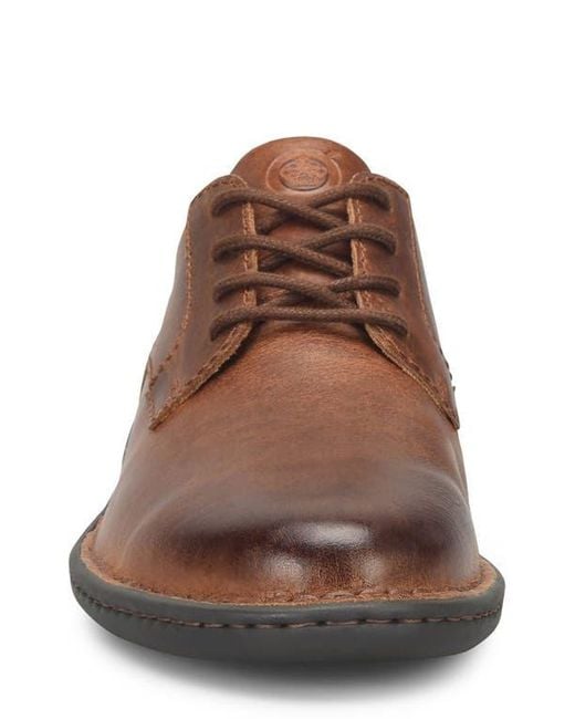 Børn Brown Tristen Plain Toe Derby for men