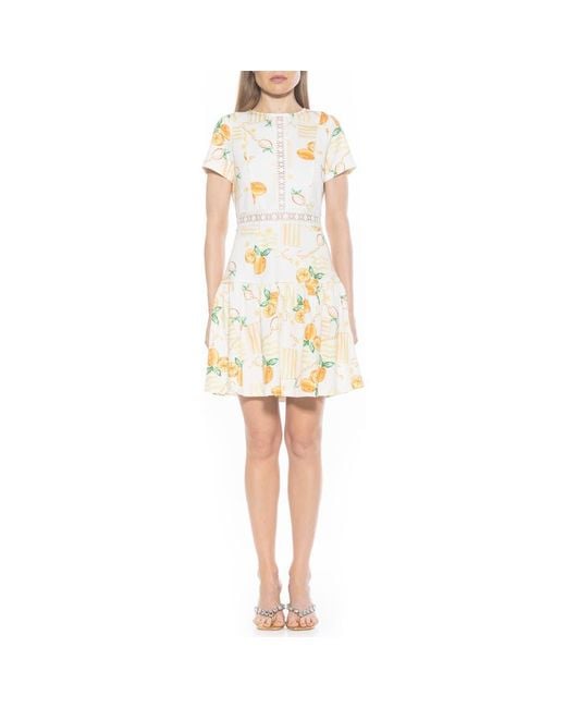 Alexia Admor Alexa Lace Trim Fit & Flare Dress in White | Lyst Alexia Admor Alexa Lace Trim Fit & Flare Dress in White | Lyst