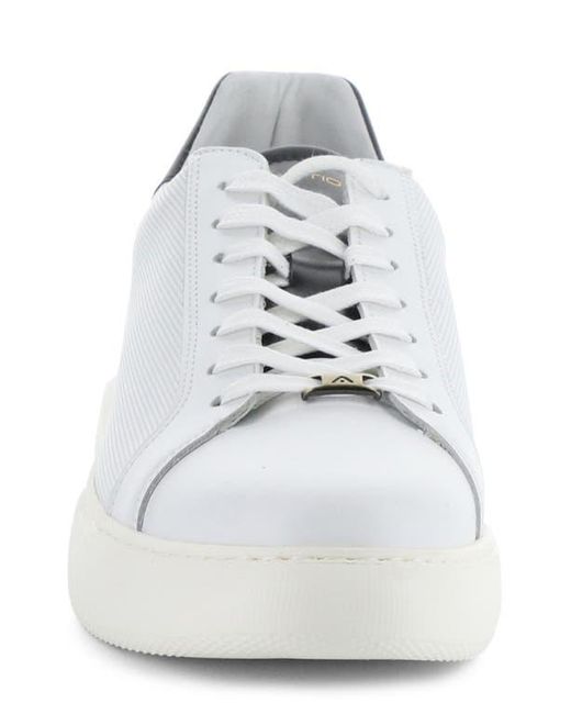 Ambitious White 10634A Low Top Sneaker for men