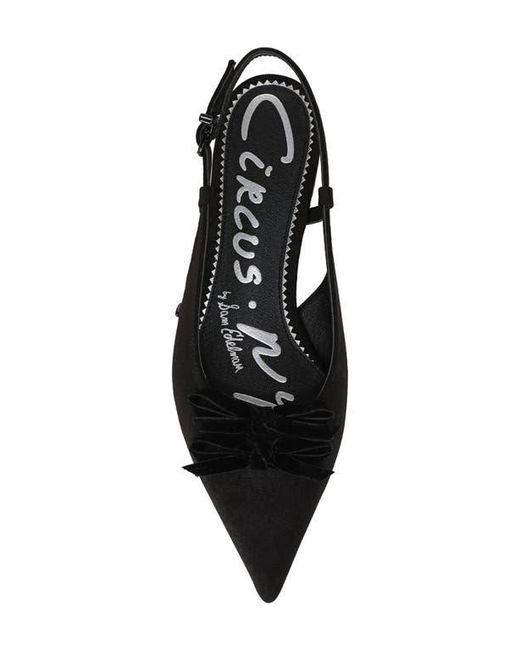 Circus by Sam Edelman Black Delanie Pointed Toe Slingback Flat